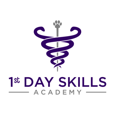 1st day skills academy - Logo